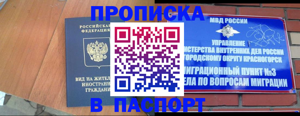 найти адрес прописки в Стародубе